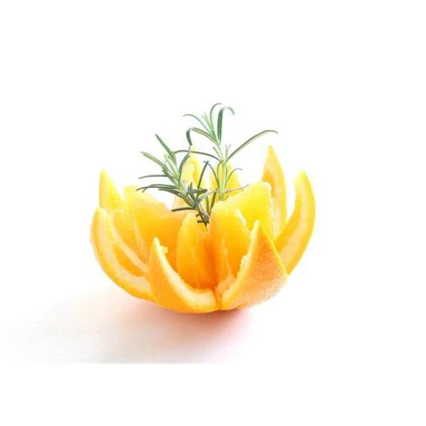 ca4f176b0bad1301e3a4a6cabcf48e76