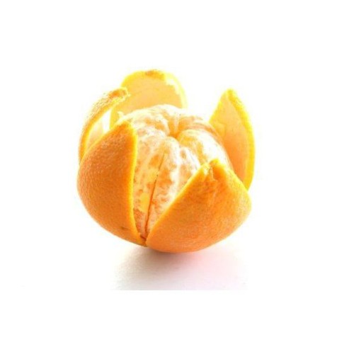 4d704c7fee27d6cdcb6527124dd34998