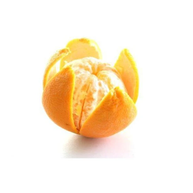 4d704c7fee27d6cdcb6527124dd34998